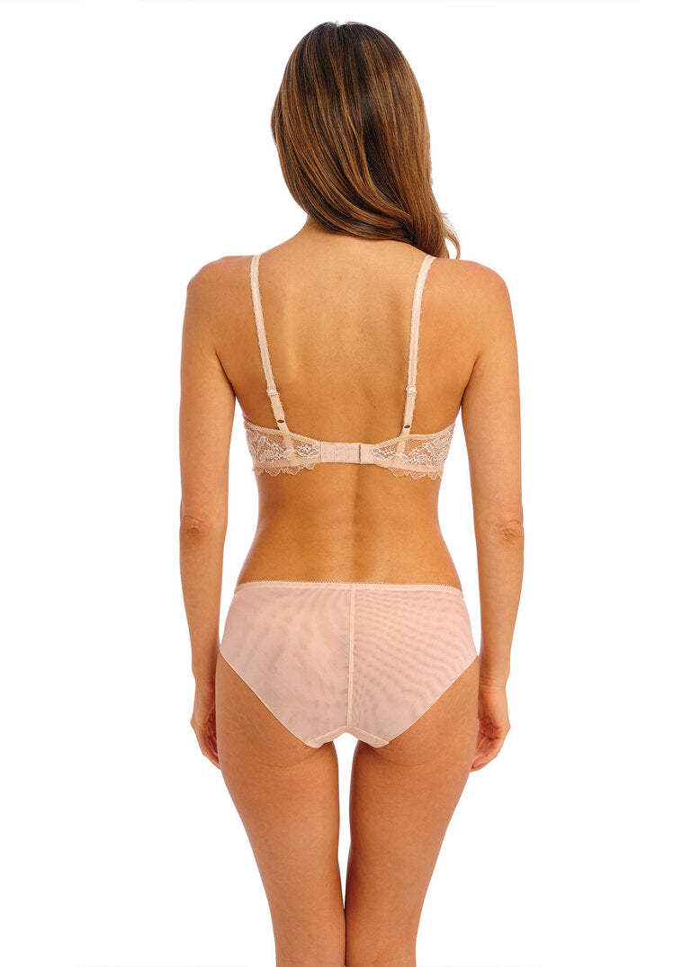 Lace Perfection - Brief